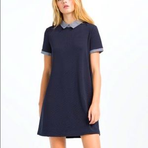 Zara Trufaluc Navy Collared Shift Mini Dress